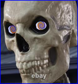 HOME ACCENTS Halloween 12 ft Skelly LifeEyes LCD Eyes Conversion Kit