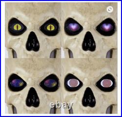 HOME ACCENTS Halloween 12 ft Skelly LifeEyes LCD Eyes Conversion Kit