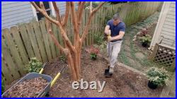 Two-Wheel Wheelbarrow Conversion Kit Easy Upgrade, Durable Black Design